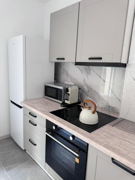 Appartement Na Wodzienowskiego *